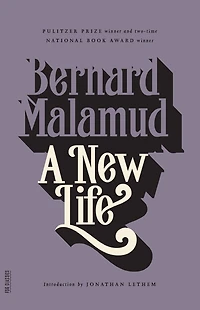 A New Life: Novel