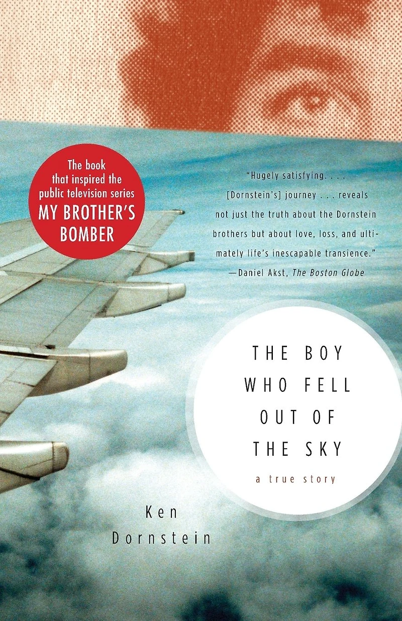 the Boy Who Fell out of Sky: A True Story