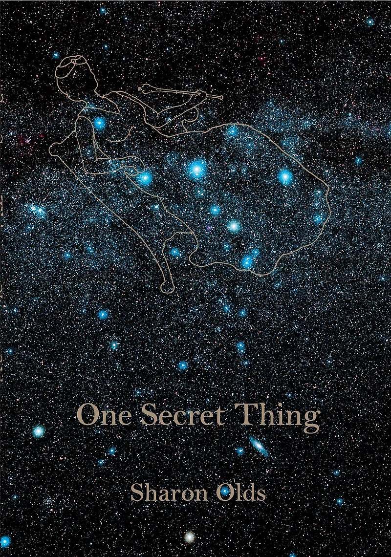 One Secret Thing
