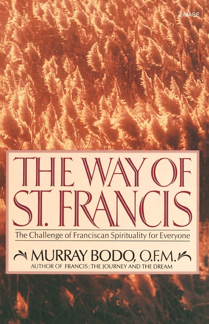 The Way of St. Francis: Challenge Franciscan Spirituality for Everyone
