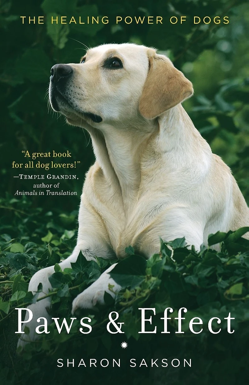 Paws & Effect: The Healing Power of Dogs