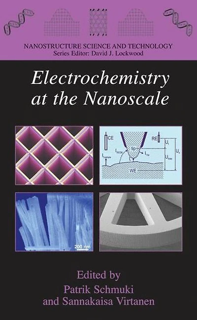 Electrochemistry at the Nanoscale