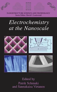 Electrochemistry at the Nanoscale