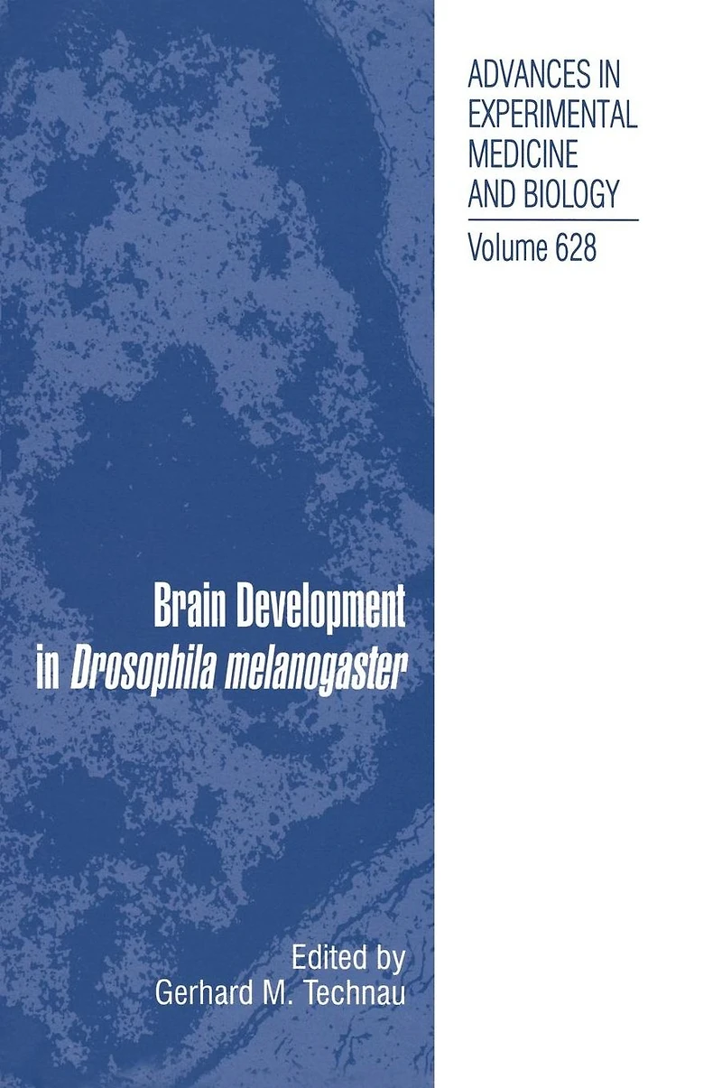 Brain Development Drosophila melanogaster