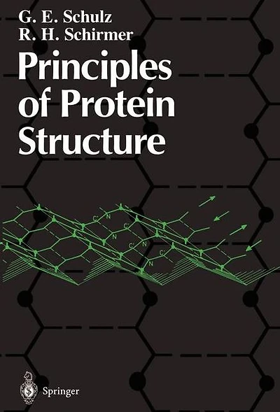 Principles of Protein Structure