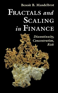 Fractals and Scaling Finance: Discontinuity, Concentration, Risk. Selecta Volume E