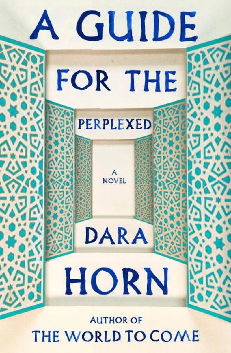 A Guide for the Perplexed: Novel