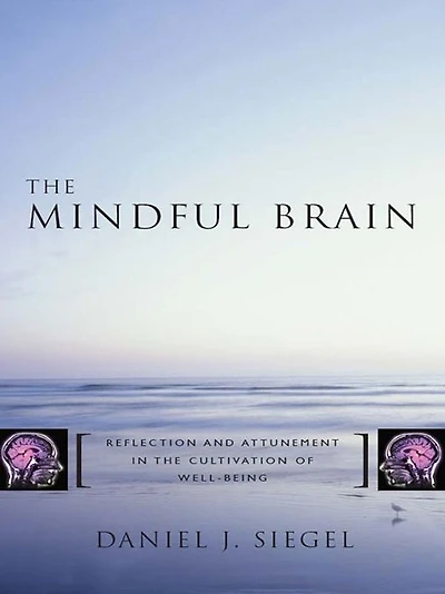 the Mindful Brain: Reflection and Attunement Cultivation of Well-Being