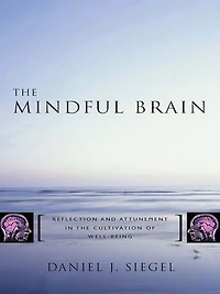 the Mindful Brain: Reflection and Attunement Cultivation of Well-Being