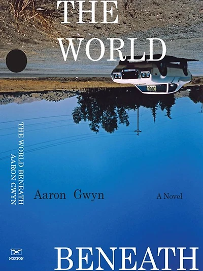 The World Beneath: A Novel