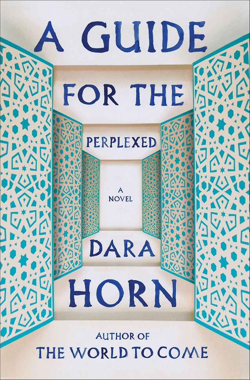 A Guide for the Perplexed: Novel
