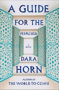 A Guide for the Perplexed: Novel
