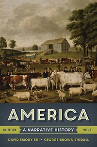 America: A Narrative History
