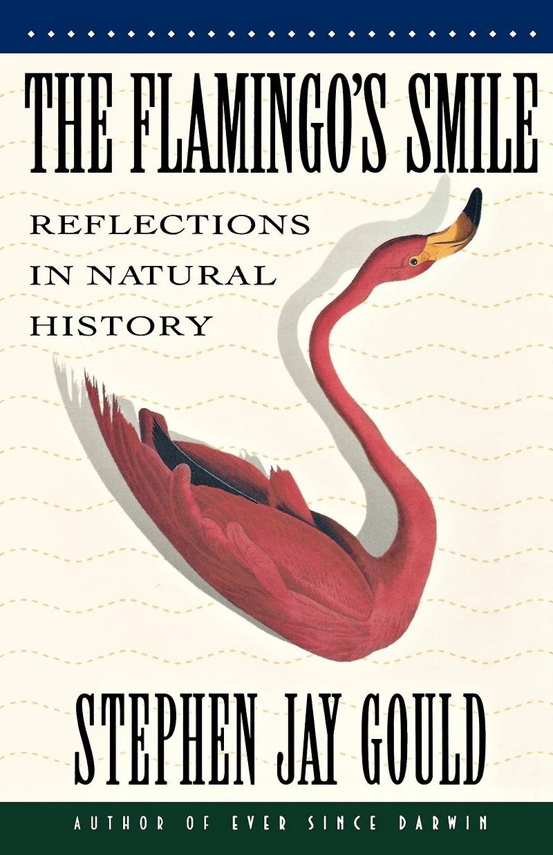 The Flamingo's Smile: Reflections Natural History