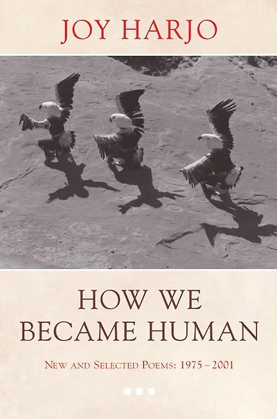 How We Became Human: New and Selected Poems 1975-2001