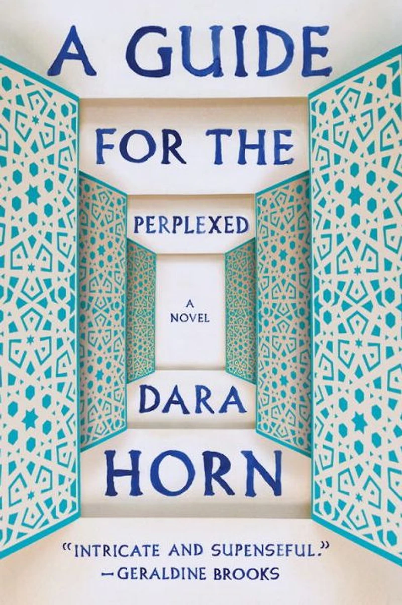 A Guide for the Perplexed: Novel