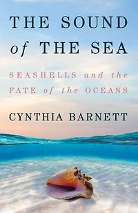 the Sound of Sea: Seashells and Fate Oceans