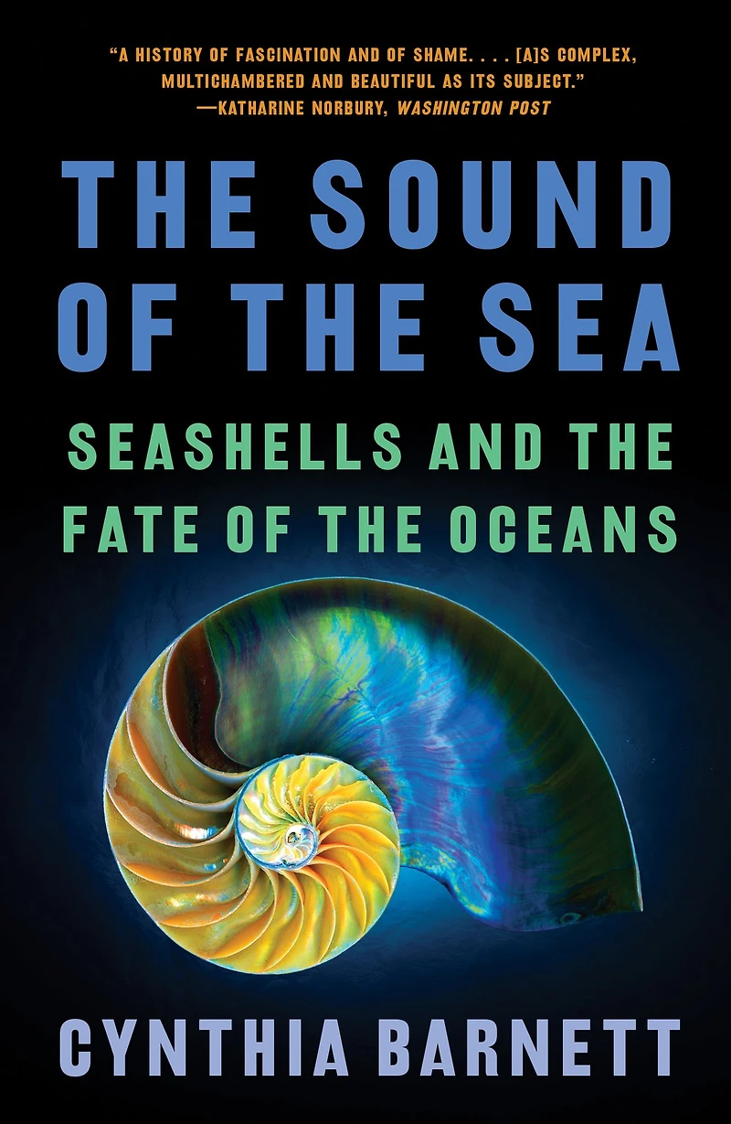 the Sound of Sea: Seashells and Fate Oceans