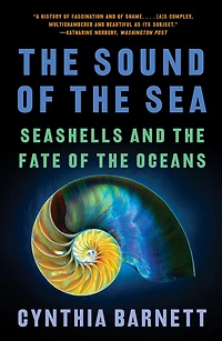 the Sound of Sea: Seashells and Fate Oceans