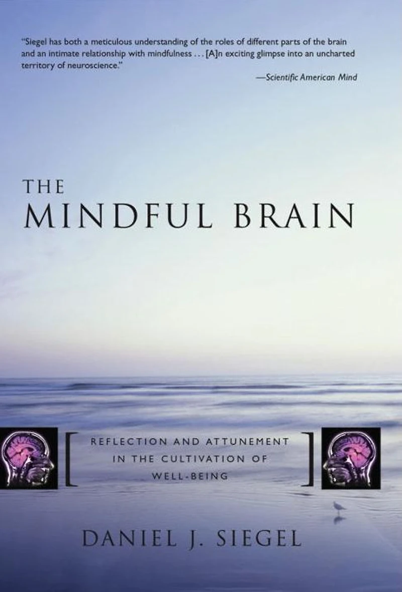 the Mindful Brain: Reflection and Attunement Cultivation of Well-Being