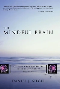 the Mindful Brain: Reflection and Attunement Cultivation of Well-Being