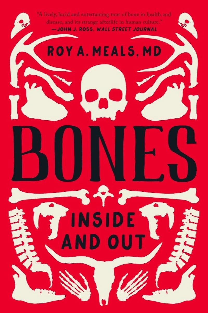 Bones: Inside and Out