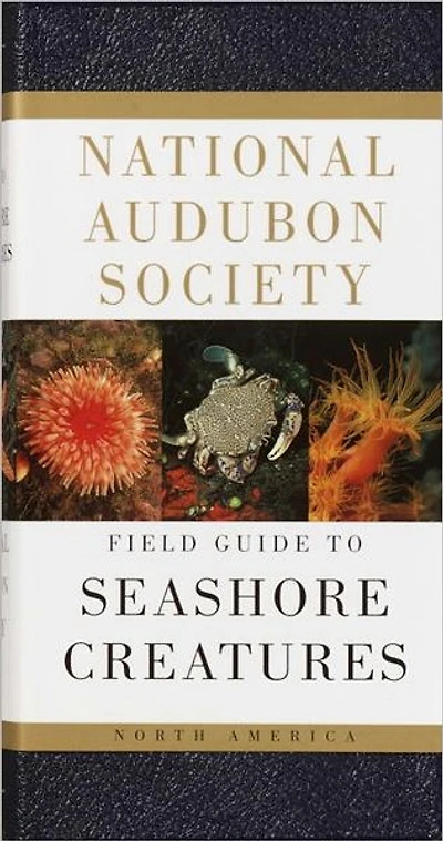 National Audubon Society Field Guide to Seashore Creatures: North America