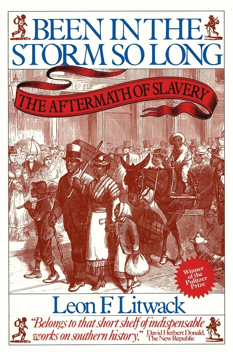 Been The Storm So Long (Pulitzer Prize Winner): Aftermath of Slavery