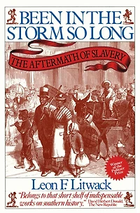 Been The Storm So Long (Pulitzer Prize Winner): Aftermath of Slavery