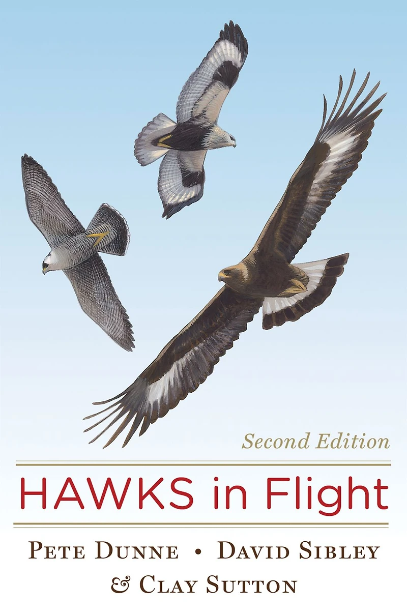 Hawks Flight: Second Edition