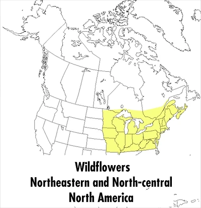 A Peterson Field Guide To Wildflowers: Northeastern and North-central North America