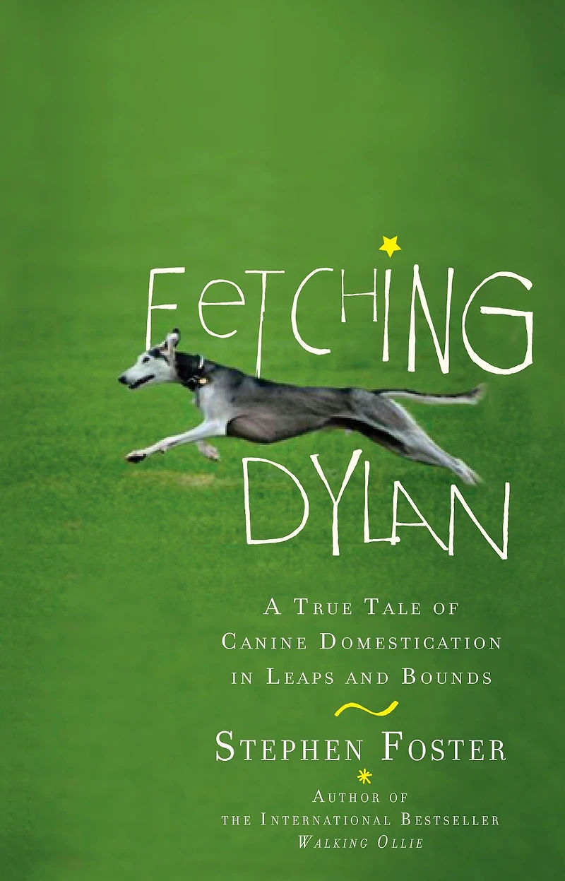 Fetching Dylan: A True Tale of Canine Domestication Leaps and Bounds