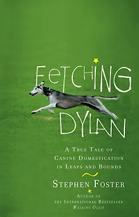 Fetching Dylan: A True Tale of Canine Domestication Leaps and Bounds