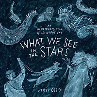 What We See the Stars: An Illustrated Tour of Night Sky