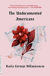 The Undocumented Americans