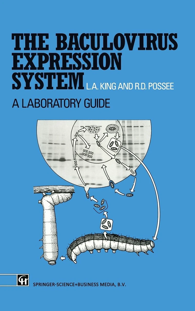 Baculovirus Expression System : A Laboratory Guide