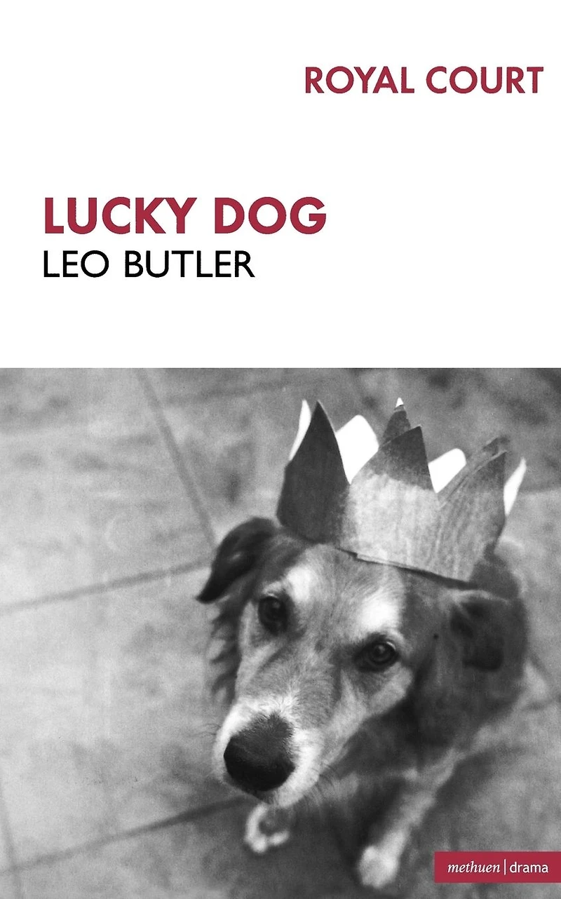 Lucky Dog
