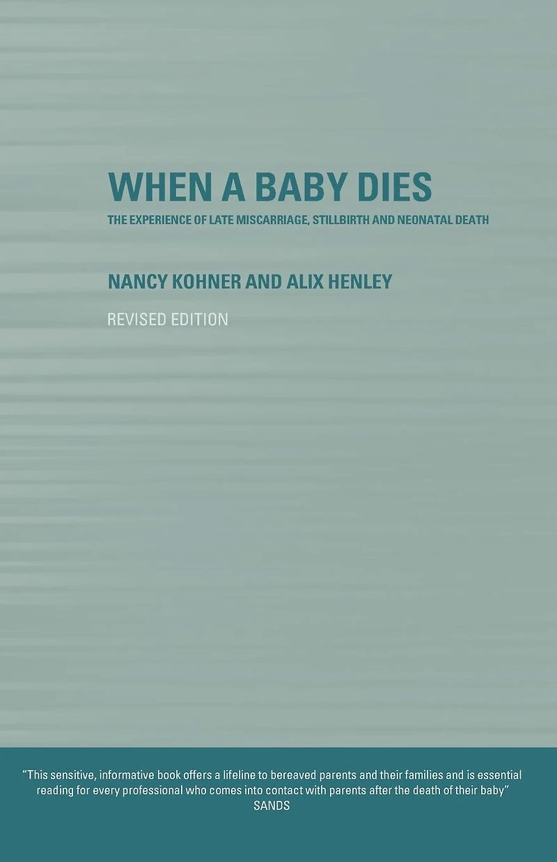 When A Baby Dies: The Experience of Late Miscarriage, Stillbirth and Neonatal Death