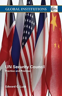 UN Security Council: Practice and Promise