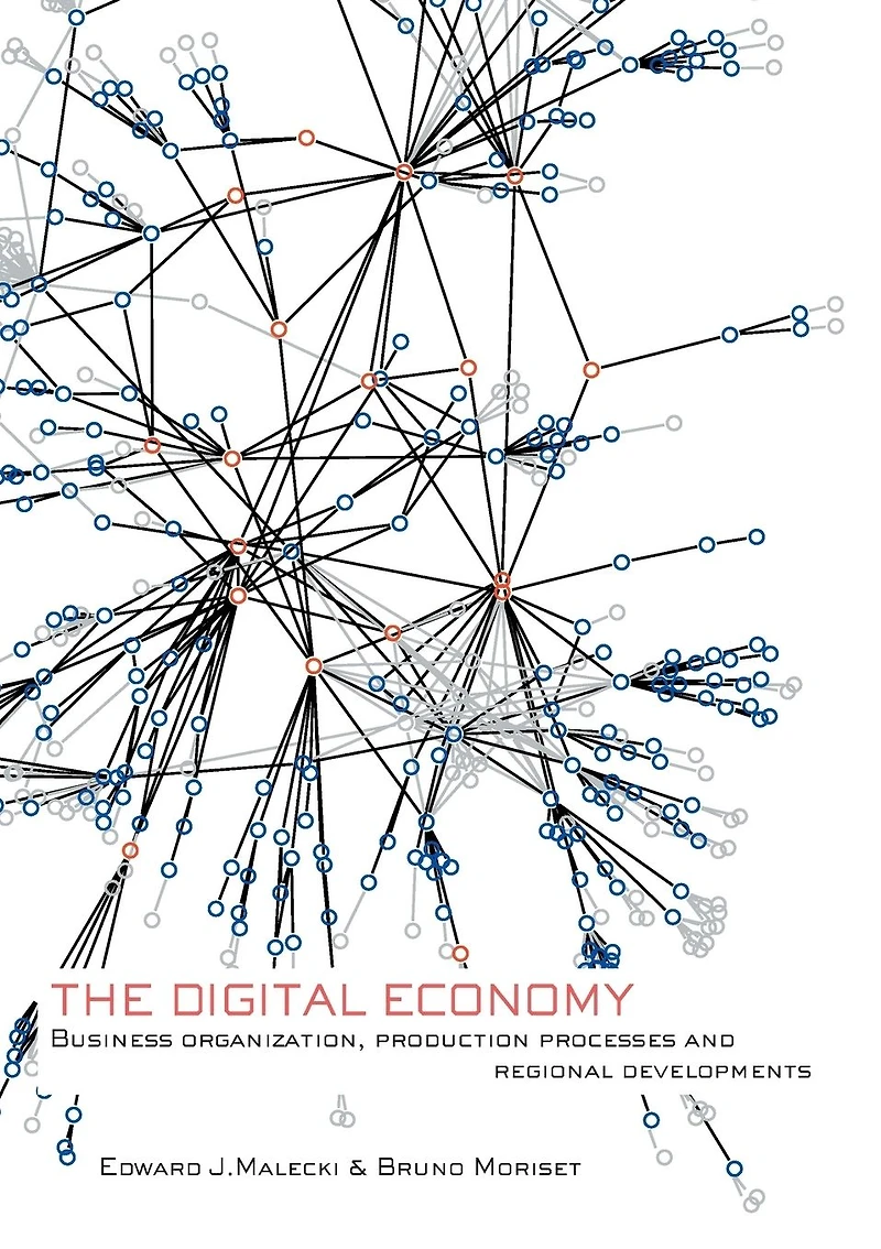 The Digital Economy: Business Organization, Production Processes and Regional Developments