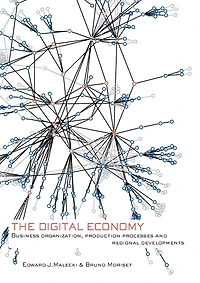 The Digital Economy: Business Organization, Production Processes and Regional Developments