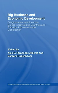 Big Business and Economic Development: Conglomerates Groups Developing Countries Transition Economies Under Globalisation