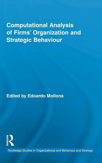 Computational Analysis of Firms' Organization and Strategic Behaviour
