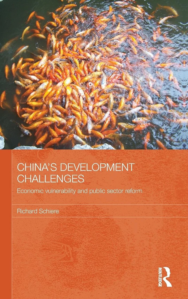 China's Development Challenges: Economic Vulnerability and Public Sector Reform