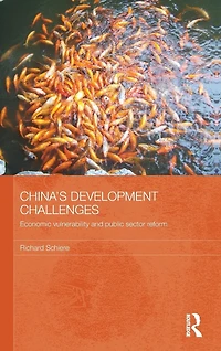 China's Development Challenges: Economic Vulnerability and Public Sector Reform