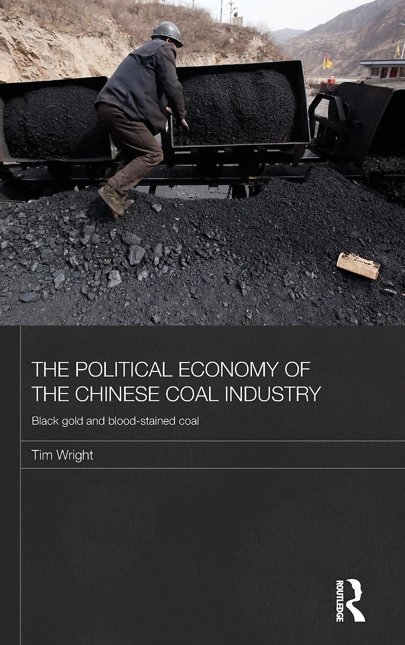 the Political Economy of Chinese Coal Industry: Black Gold and Blood-Stained
