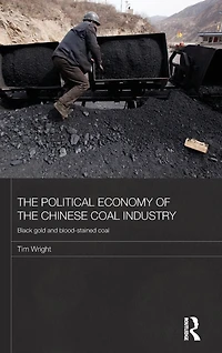the Political Economy of Chinese Coal Industry: Black Gold and Blood-Stained