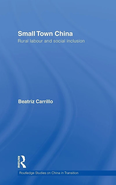 Small Town China: Rural Labour and Social Inclusion