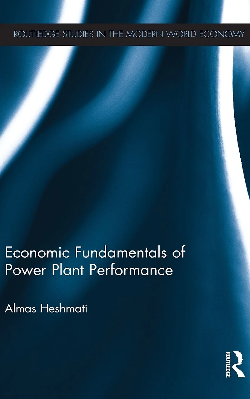 Economic Fundamentals of Power Plant Performance
