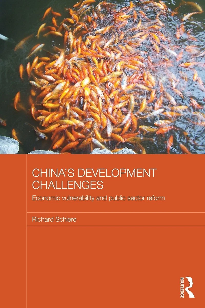 China's Development Challenges: Economic Vulnerability and Public Sector Reform